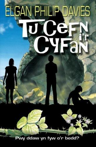 Tu Cefn i'r Cyfan