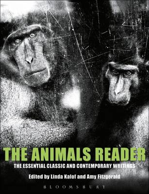 The Animals Reader