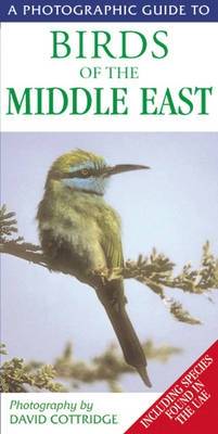 A Photographic Guide to Birds of the Middle East