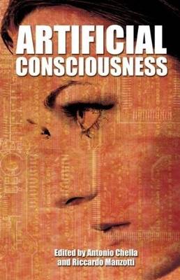 Artificial Consciousness