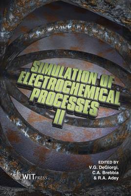 Simulation of Electrochemical Processes