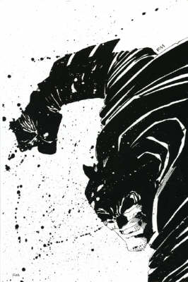 Absolute Dark Knight