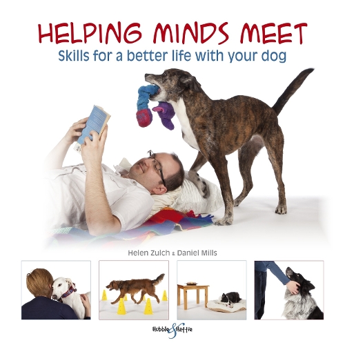 Helping Minds Meet