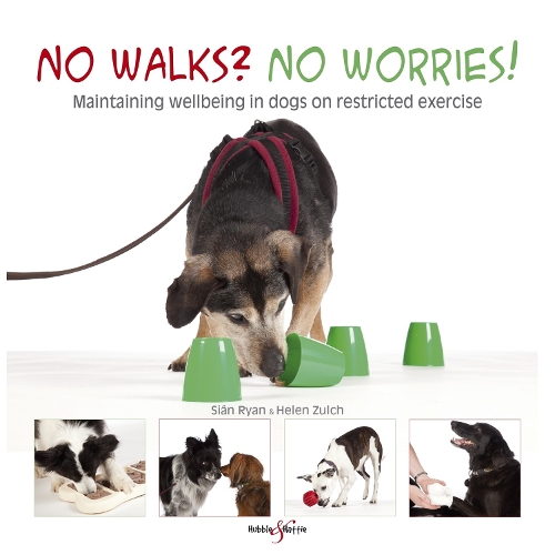 No Walks? No Worries!