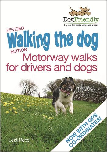 Walking the Dog