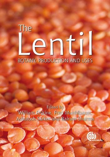 Lentil