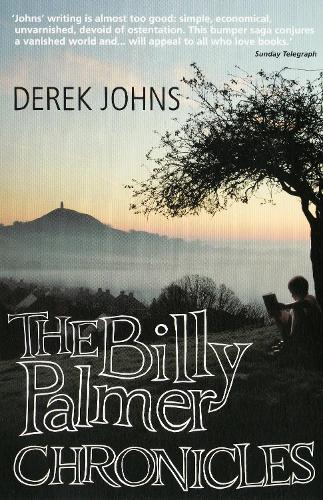 The Billy Palmer Chronicles