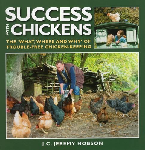 Success with Chickens