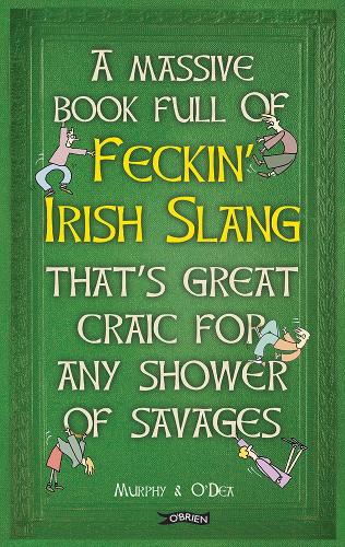 A Massive Book Full of FECKIN’ IRISH SLANG that’s Great Craic for Any Shower of Savages
