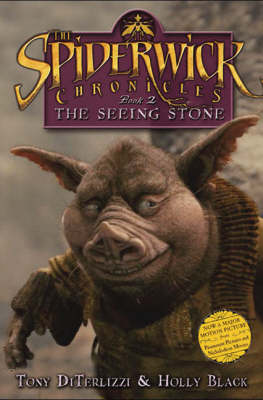 The Seeing Stone