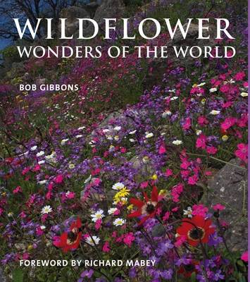 Wildflower Wonders