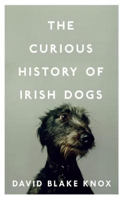 The Curious History of Irish Dogs