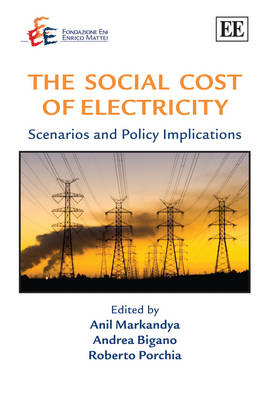 The Social Cost of Electricity