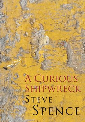 A Curious Shipwreck