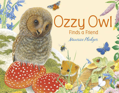 Ozzy Owl Finds A Friend
