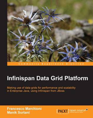 Infinispan Data Grid Platform