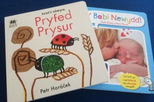 Pecyn Babi Newydd a Pryfed Prysur