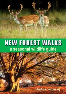 New Forest Walks