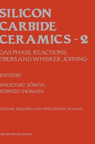 Silicon Carbide Ceramics