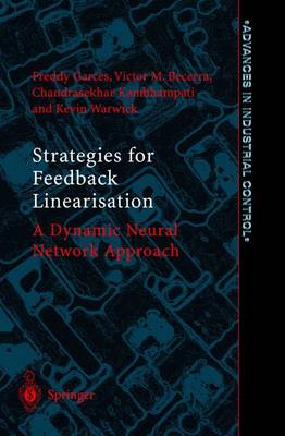Strategies for Feedback Linearisation