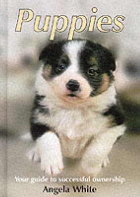 Puppies
