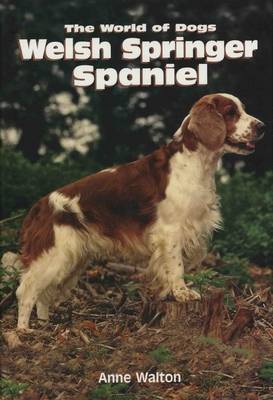 The Welsh Springer Spaniel