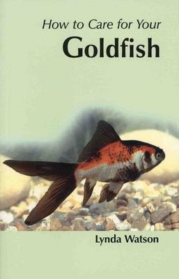 How to Care for Your Goldfish