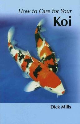 How to Care for Your Koi