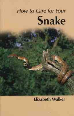 How to Care for Your Snake