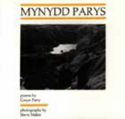 Mynydd Parys