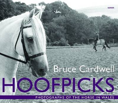 Hoofpicks