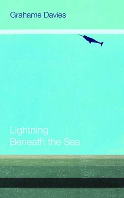 Lightning Beneath the Sea