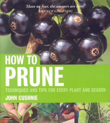 How to Prune