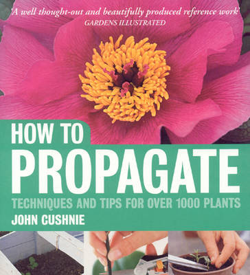 How to Propagate