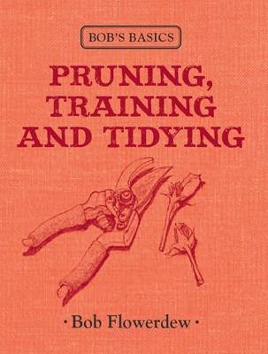 Bob's Basics: Pruning, Training and Tidying