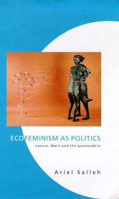 Ecofeminism as Politics