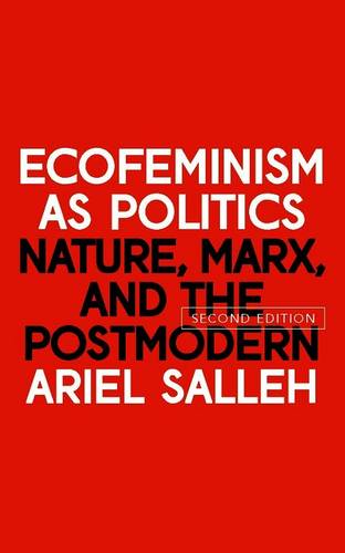 Ecofeminism as Politics