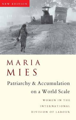Patriarchy and Accumulation on a World Scale