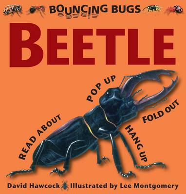 Bouncing Bugs - Beetle
