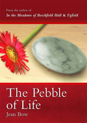 The Pebble of Life