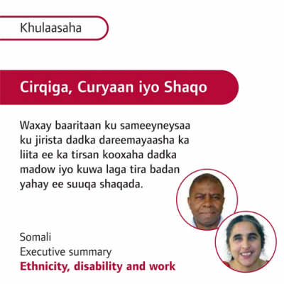 Ethnicity, Disability and Work