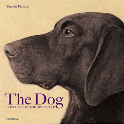 The Dog