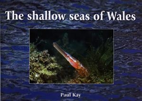 Shallow Seas of Wales, The