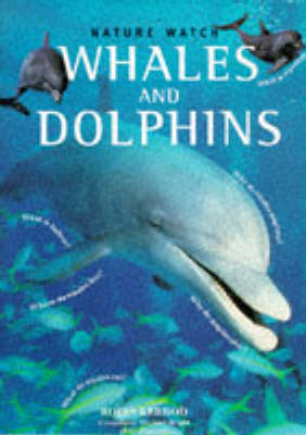 Whales and Dolphins