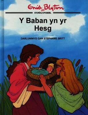 Cyfres Storïau o'r Beibl Enid Blyton: Baban yn yr Hesg, Y
