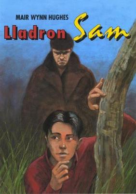 Llyfrau Darllen CBAC Cyfnod Allweddol 2 Ail Iaith (Lefelau 2/3): Lladron Sam