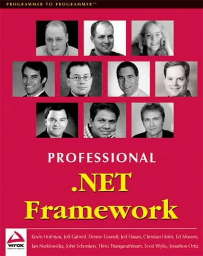 Professional .NET Framework