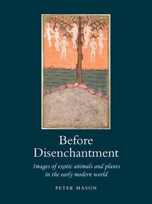 Before Disenchantment