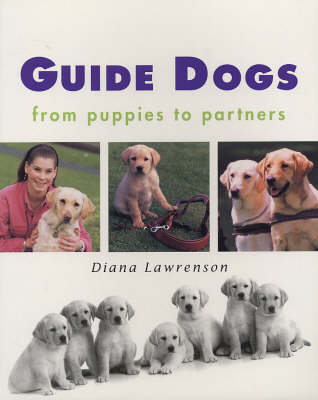 Guide Dogs