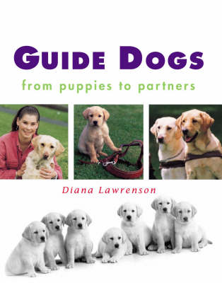 Guide Dogs